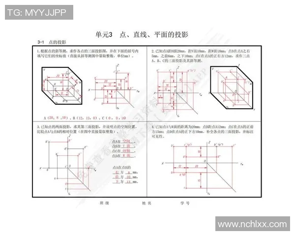 北京排球队的战术控制体系解析与实践探讨