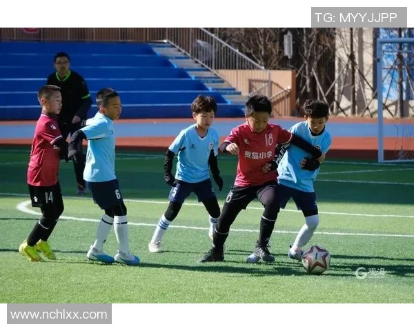 奔跑吧的足球明星们在绿茵场上追逐梦想与荣耀的旅程